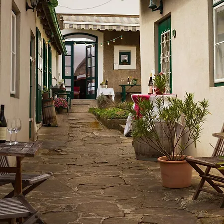 Bioweingut Hauerhof 99 -apartment 3 アパート クロスターノイブルク