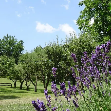 Bioweingut Hauerhof 99 -apartment 3 クロスターノイブルク