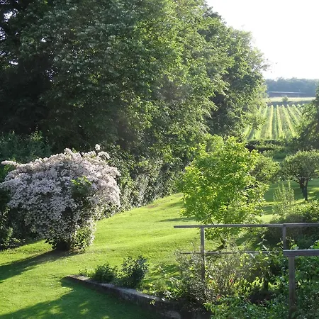 Bioweingut Hauerhof 99 -apartment 3