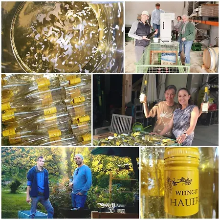 Bioweingut Hauerhof 99 -apartment 3 Διαμέρισμα *