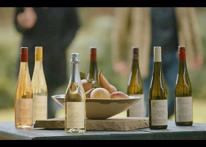 Bioweingut Hauerhof 99 -apartment 3 Apartman Klosterneuburg