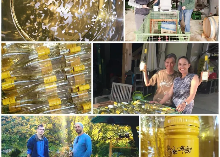 Bioweingut Hauerhof 99 -apartment 3 * Klosterneuburg