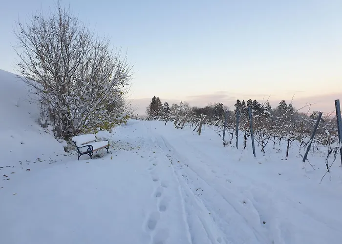 Bioweingut Hauerhof 99 -apartment 3 Apartman Klosterneuburg