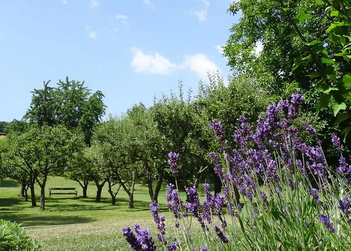 Bioweingut Hauerhof 99 -apartment 3 Klosterneuburg