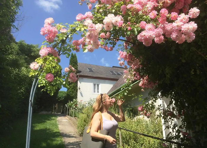 Bioweingut Hauerhof 99 -apartment 3 Apartman *