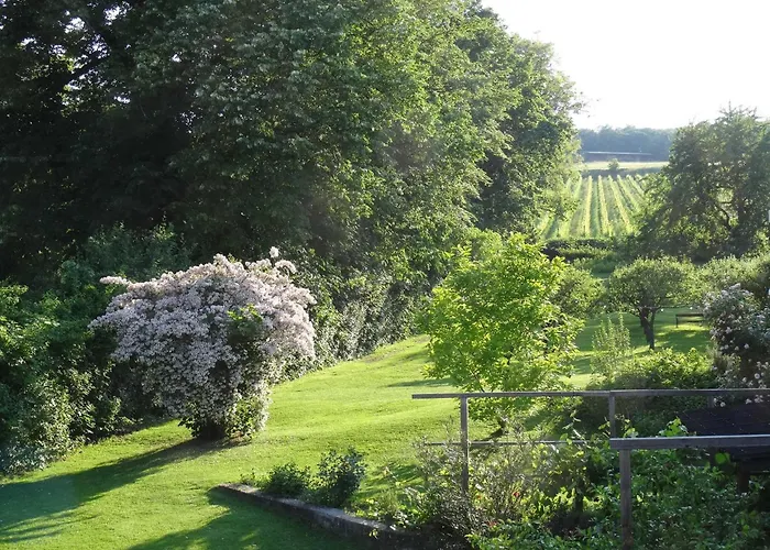 Bioweingut Hauerhof 99 -apartment 3